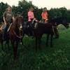 amandafletcher3